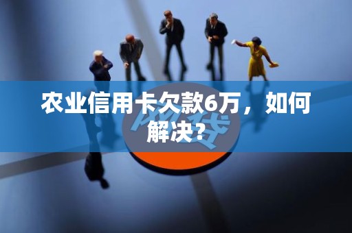 农业信用卡欠款6万,如何解决? 农业信用卡欠款6万,如何解决?