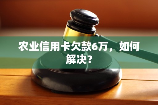农业信用卡欠款6万,如何解决? 农业信用卡欠款6万,如何解决?