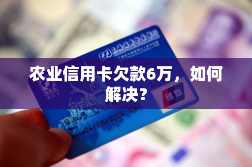 农业信用卡欠款6万,如何解决? 农业信用卡欠款6万,如何解决?