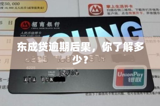 东成贷逾期后果，你了解多少？