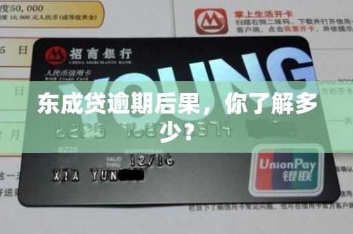 东成贷逾期后果，你了解多少？
