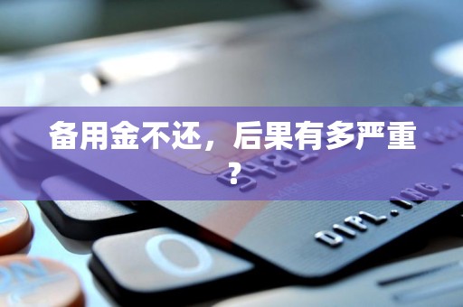 备用金不还，后果有多严重？