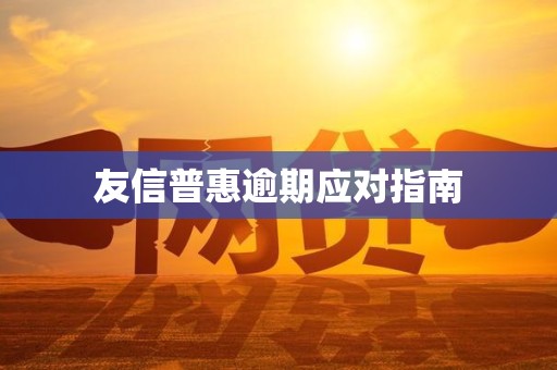 友信普惠逾期应对指南