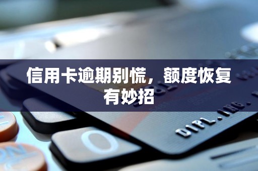 信用卡逾期别慌,额度恢复有妙招 信用卡逾期别慌,额度恢复有妙招