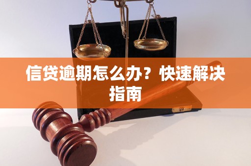 信贷逾期怎么办？快速解决指南