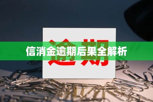 信消金逾期后果全解析