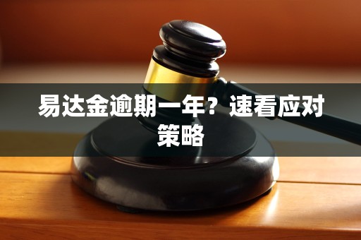 易达金逾期一年？速看应对策略