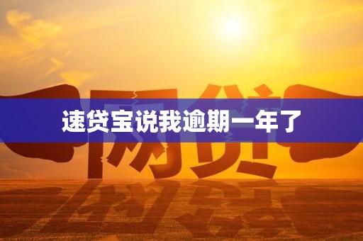 速贷宝说我逾期一年了