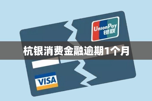 杭银消费金融逾期1个月 杭银消费金融逾期1个月