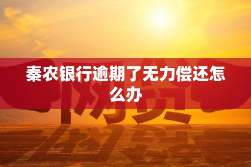 秦农银行逾期了无力偿还怎么办