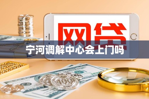 宁河调解中心会上门吗 宁河调解中心会上门吗