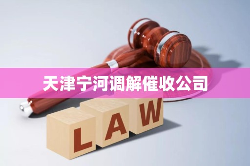 天津宁河调解催收公司