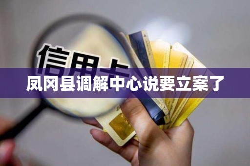 凤冈县调解中心说要立案了