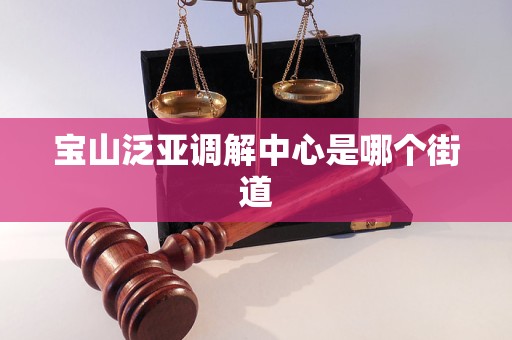 宝山泛亚调解中心是哪个街道