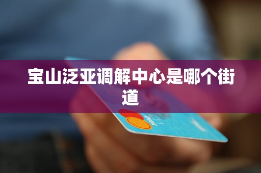 宝山泛亚调解中心是哪个街道