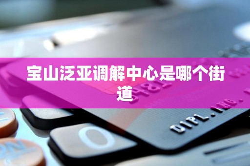 宝山泛亚调解中心是哪个街道