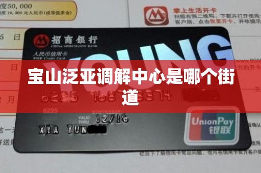 宝山泛亚调解中心是哪个街道