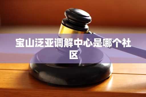 宝山泛亚调解中心是哪个社区 宝山泛亚调解中心是哪个社区