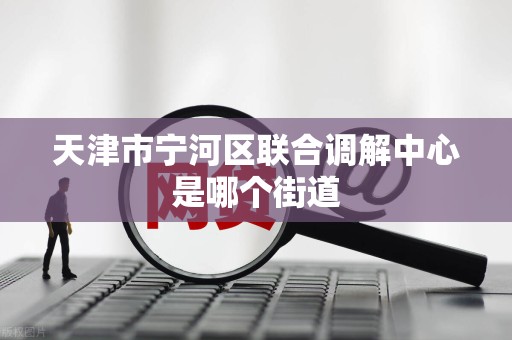 天津市宁河区联合调解中心是哪个街道