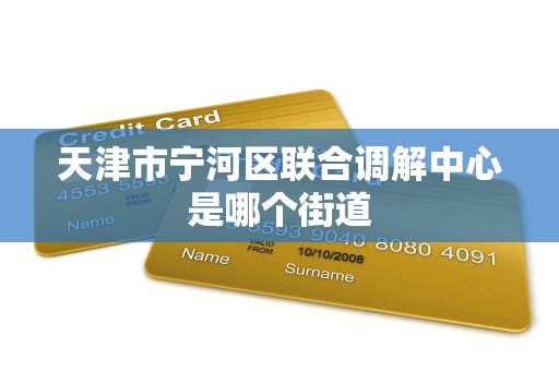 天津市宁河区联合调解中心是哪个街道