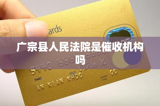 广宗县人民法院是催收机构吗