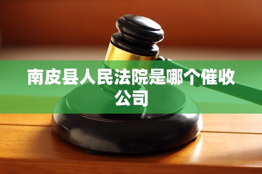 南皮县人民法院是哪个催收公司