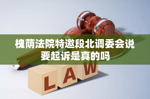 槐荫法院特邀段北调委会说要起诉是真的吗
