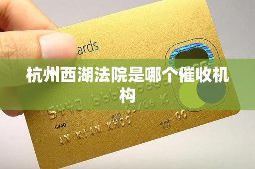 杭州西湖法院是哪个催收机构