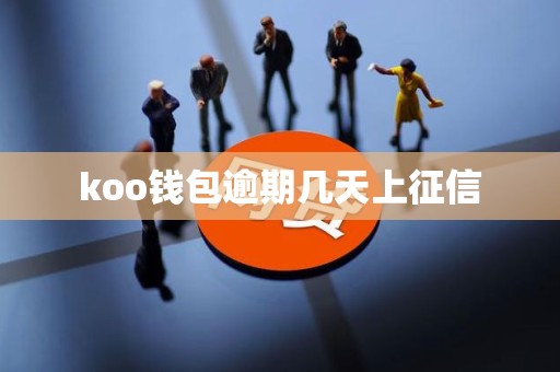 koo钱包逾期几天上征信