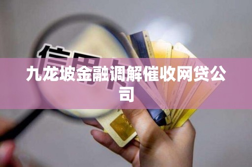 九龙坡金融调解催收网贷公司