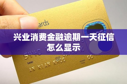 兴业消费金融逾期一天征信怎么显示