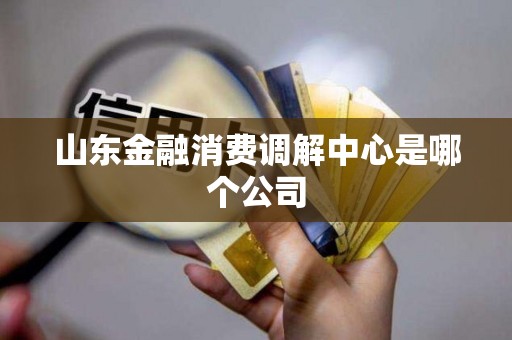 山东金融消费调解中心是哪个公司
