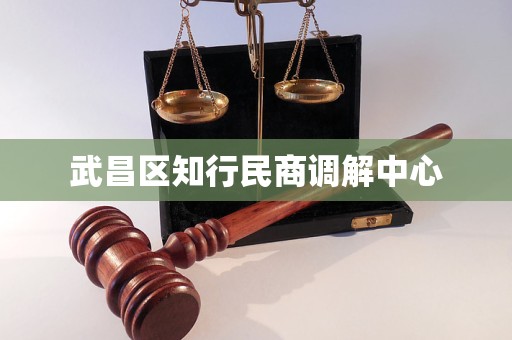 武昌区知行民商调解中心 武昌区知行民商调解中心