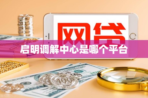 启明调解中心是哪个平台