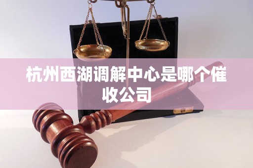 杭州西湖调解中心是哪个催收公司