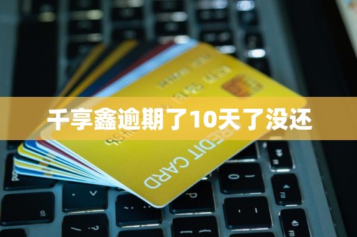 千享鑫逾期了10天了没还