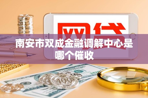 南安市双成金融调解中心是哪个催收