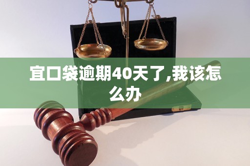 宜口袋逾期40天了,我该怎么办