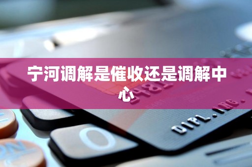 宁河调解是催收还是调解中心 宁河调解是催收还是调解中心