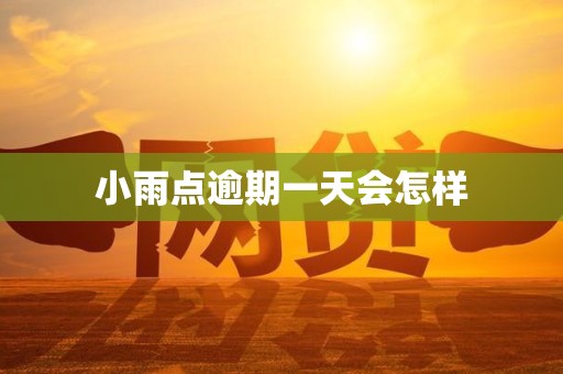 小雨点逾期一天会怎样