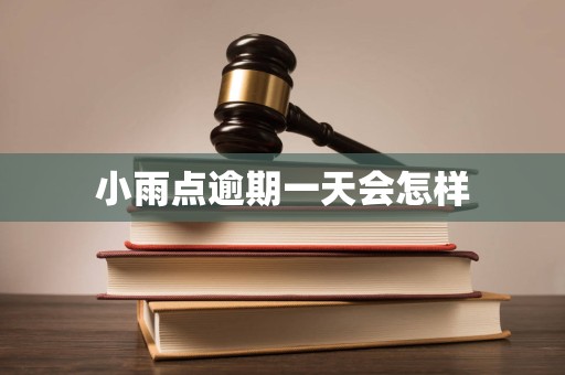 小雨点逾期一天会怎样