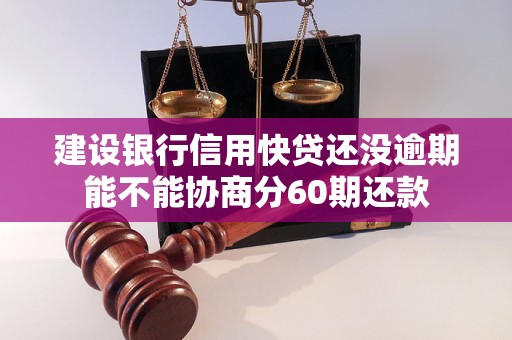 建设银行信用快贷还没逾期能不能协商分60期还款