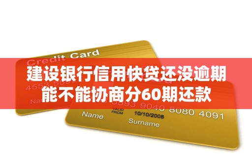 建设银行信用快贷还没逾期能不能协商分60期还款