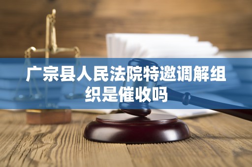 广宗县人民法院特邀调解组织是催收吗