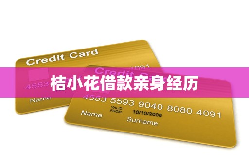 桔小花借款亲身经历