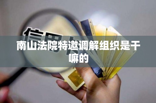 南山法院特邀调解组织是干嘛的