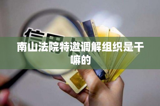 南山法院特邀调解组织是干嘛的