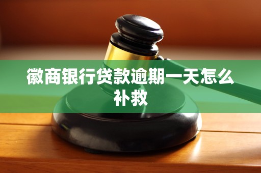 徽商银行贷款逾期一天怎么补救