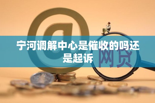 宁河调解中心是催收的吗还是起诉