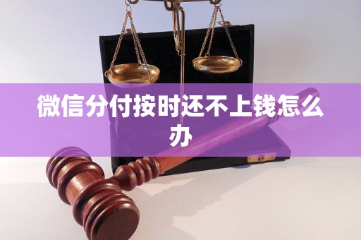 微信分付按时还不上钱怎么办 微信分付按时还不上钱怎么办